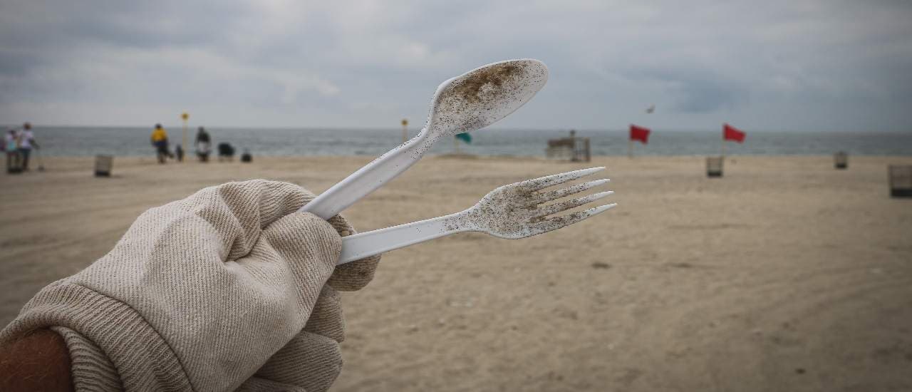 Nature Cleaning Projects gallery image 3
