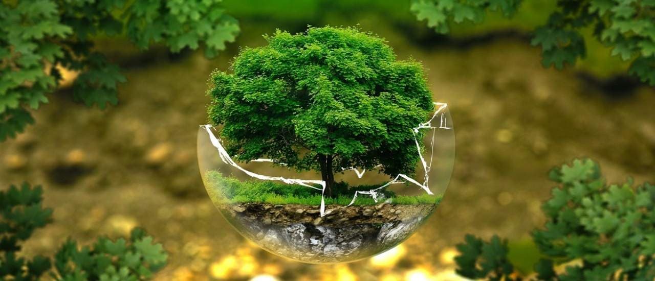 Saving Ozone Projects